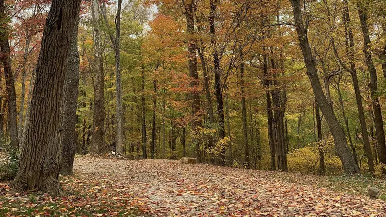 Hocking Hills Fall Hocking Hills Fall