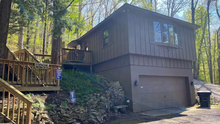 Tree Tops 2 Tree Tops 2